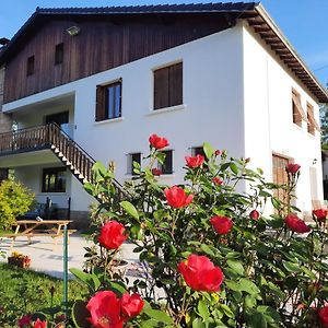 Bed and Breakfast Le Jardin De Moulis Exterior photo