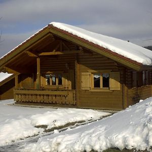 Villa Ferienhaus Bayern Stamsried Exterior photo