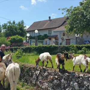 Bed and Breakfast Basse-Cour De Montin Au 256 Chemin De La Rocaille A 38510 Vezeronce Curtin Morestel Exterior photo