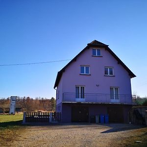 Bed and Breakfast A L'Oree Du Bois Romanswiller Exterior photo