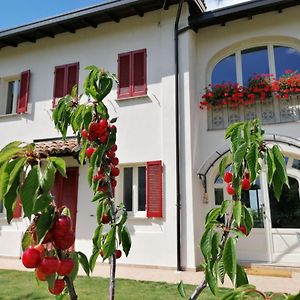 Bed and Breakfast La Mafalda In Oltrepo Codevilla Exterior photo