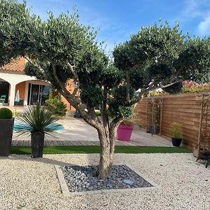 Villa En Bordure De Garrigue Cabrières Exterior photo