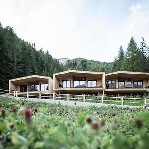 Villa Stelza Nature Chalet Pfitschtal Exterior photo