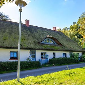 Ferienwohnung Lütt Stuuv am Dorfanger Barth Exterior photo