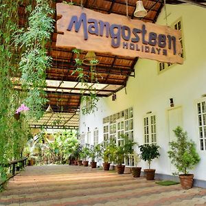 Hotel Mangosteen Holidays Vythiri Exterior photo