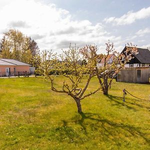 Villa Bungalow In Lubmin Exterior photo