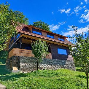 Villa La Sat - Radu Dragu Bertea Exterior photo