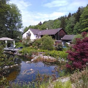 Hotel Urlaubspension Die Muehle Schöllnach Exterior photo