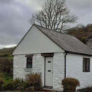 Villa Y Llew Bach, The Tiny House Gwytherin Exterior photo