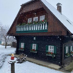 Bauernhaus Süd- West- Steiermark am Radweg für die Familie&FreundInnen Sankt Martin im Sulmtal Exterior photo