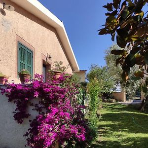 Gasthaus Alloggio Turistico Monte Santa Maria Poggio Nativo Exterior photo