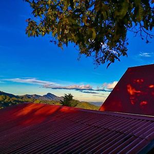 Ferienwohnung Cabana Monarca - The Best View In The Area! Jardín Exterior photo