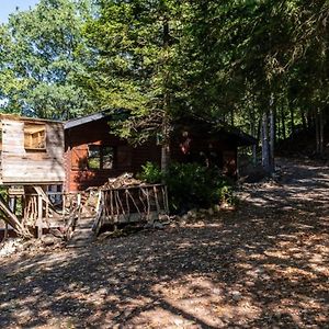 Villa Chalet In The Woods With Jacuzzi And Sauna Manhay Exterior photo