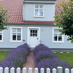 Ferienwohnung Haus Vicus Greifswald Exterior photo