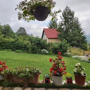 Villa Jelena Mavrovo-Nationalpark Exterior photo