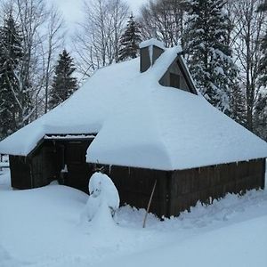 Villa Koca Pastirica - Velika Planina Stahovica Exterior photo