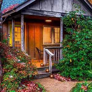 Villa Love Ridge Mountain Lodging Lyndhurst Exterior photo