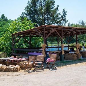 Villa Agriturismo Why Farm Marano Ticino Exterior photo