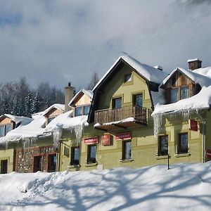 Hotel Penzion Na Kovarne Branná Exterior photo