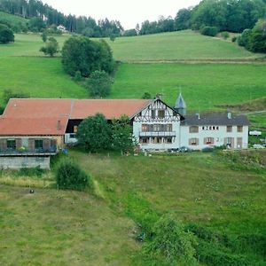 Ferienwohnung Ferme La Tourelle, Nature & Vue Exceptionnelle Sainte-Marie-aux-Mines Exterior photo