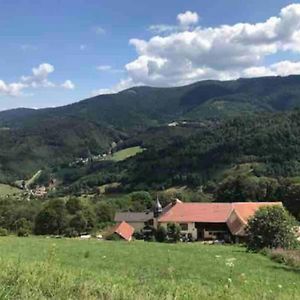 Villa La Fromagerie De La Tourelle Sainte-Marie-aux-Mines Exterior photo