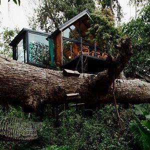 Villa Wilderness Treehouse Doi Saket Exterior photo