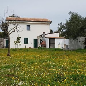 Ferienwohnung Casa Matilda - Abbasanta - Sardegna - Iun R4877 Exterior photo