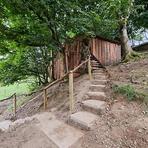 Villa Tree House Aberaeron Exterior photo