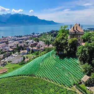 Brilliant Apartment In Chateau Du Chatelard Montreux Exterior photo