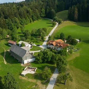 Villa Eco Tourist Farm Ravnjak Slovenj Gradec Exterior photo