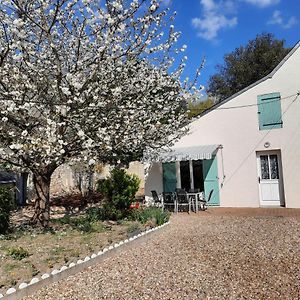 Hotel Gite Le Petit Anzan En Indre Et Loire Noizay Exterior photo