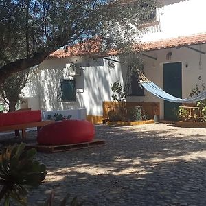Villa Monte Da Samarra Avis Exterior photo