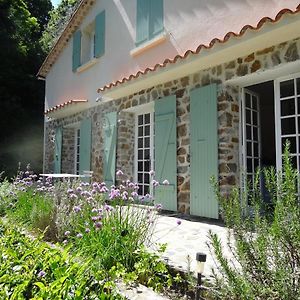 Villa Magnifique Maison Avec Piscine Dans Un Milieu Verdoyant Proche Des Commodites Saint-Jean-du-Gard Exterior photo