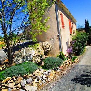 Villa Maison Champetre A Tournissan Avec Grand Jardin Exterior photo