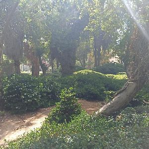 Ferienwohnung הבית של יעל Tel Aviv-Jaffa Exterior photo