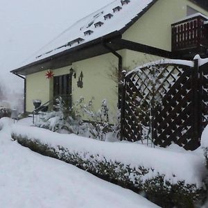 Ferienwohnung FeWo Schmidt im Erzgebirge Gelenau Exterior photo