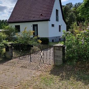 Villa Mecklenburgische Seenplatte - Saniertes und gemütliches Haus mit großem Garten und optionalem Steg Grosszerlang Exterior photo