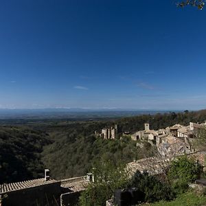 Villa Chateau Le Camigne, Vue Pyrenees Saissac Exterior photo