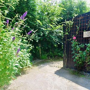 Bed and Breakfast Les Bobos A La Ferme La Madelaine-sous-Montreuil Exterior photo