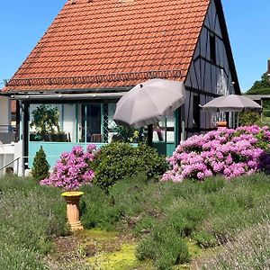 Ferienhaus mit Sauna, Wintergarten und Terrasse im schönen Hochtaunus Glashutten  Exterior photo