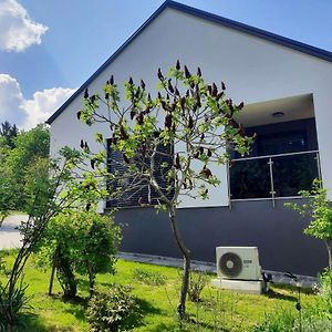 Ferienwohnung House Under The Maple Tree Vitanje Exterior photo