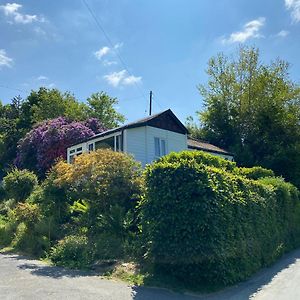 Villa Treetops Welshpool Exterior photo