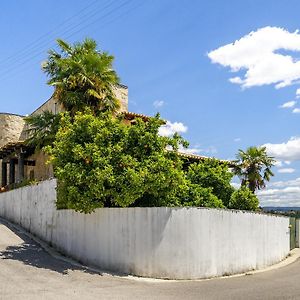 Villa Isatour - Ninho D' Aguia Águeda Exterior photo