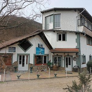 Villa Cabana Micutu Sebeş Exterior photo