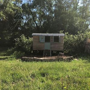 Ferienwohnung The Shepherd'S Hut Whiteparish Exterior photo