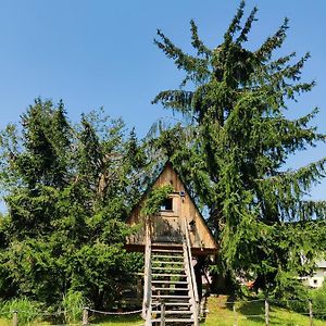 Villa Zen Among The Trees Stahovica Exterior photo