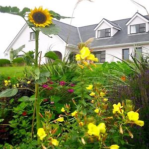 Bed and Breakfast Cregg House Clifden Exterior photo