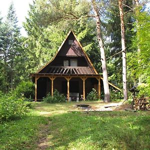 Great Holiday Home In The Middle Of Nature And Right On The Lake, Natac Wielka Exterior photo