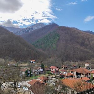 Villa Terasite - Kesta 3 Ribarica Exterior photo