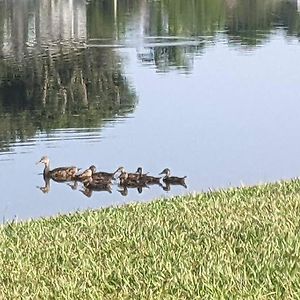 Ferienwohnung Port Saint Lucie A Little Piece Of Heaven Port St. Lucie Exterior photo